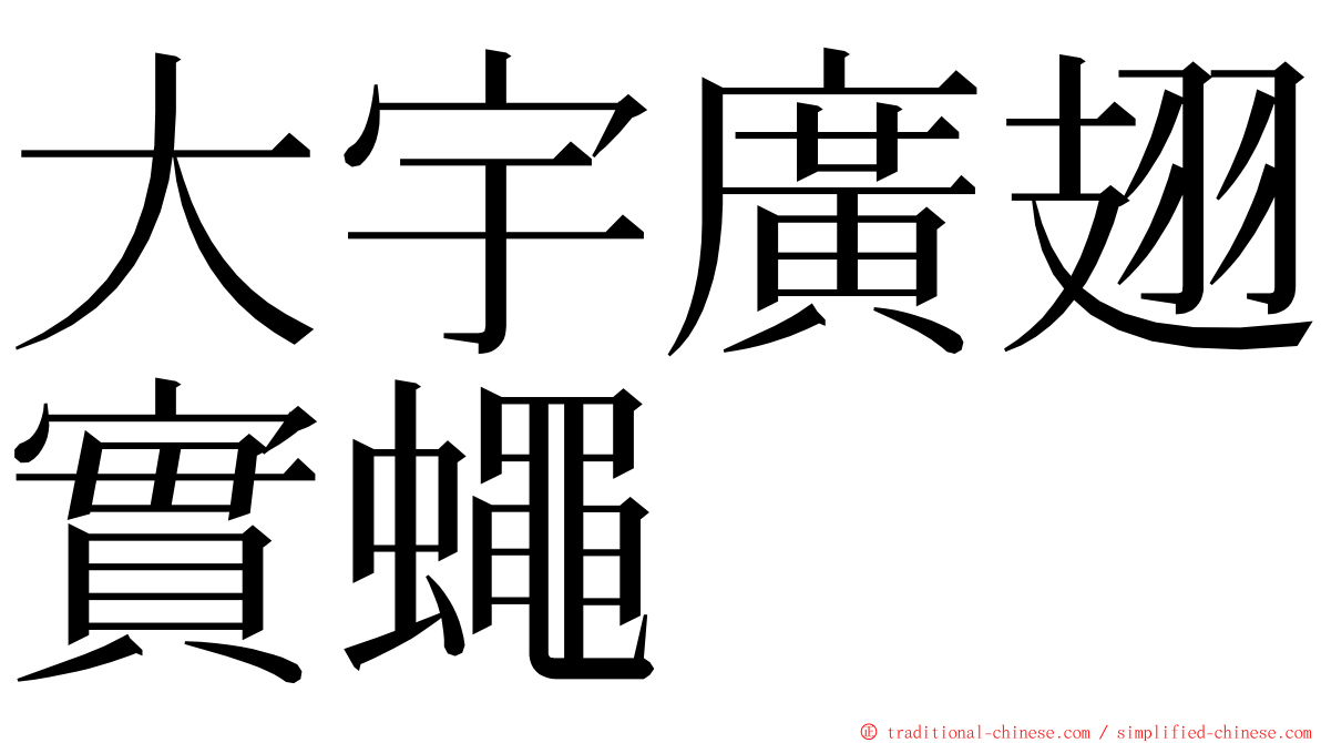 大宇廣翅實蠅 ming font