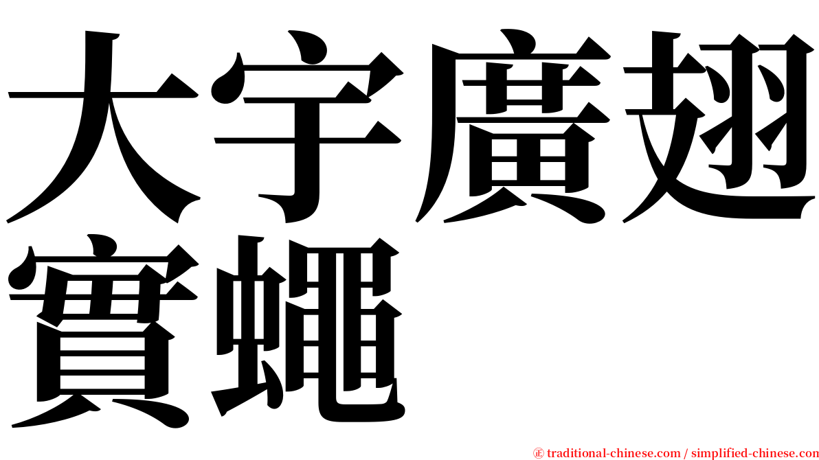 大宇廣翅實蠅 serif font