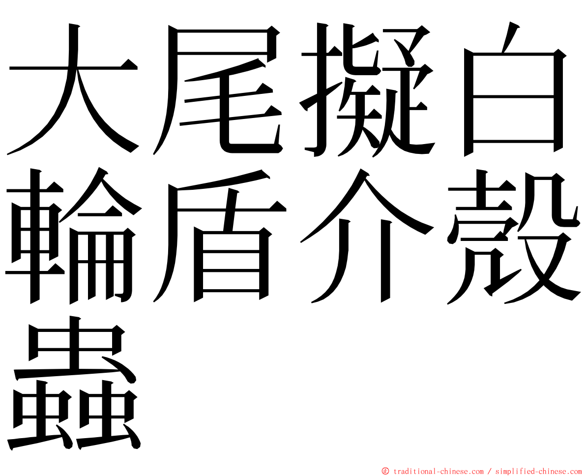 大尾擬白輪盾介殼蟲 ming font