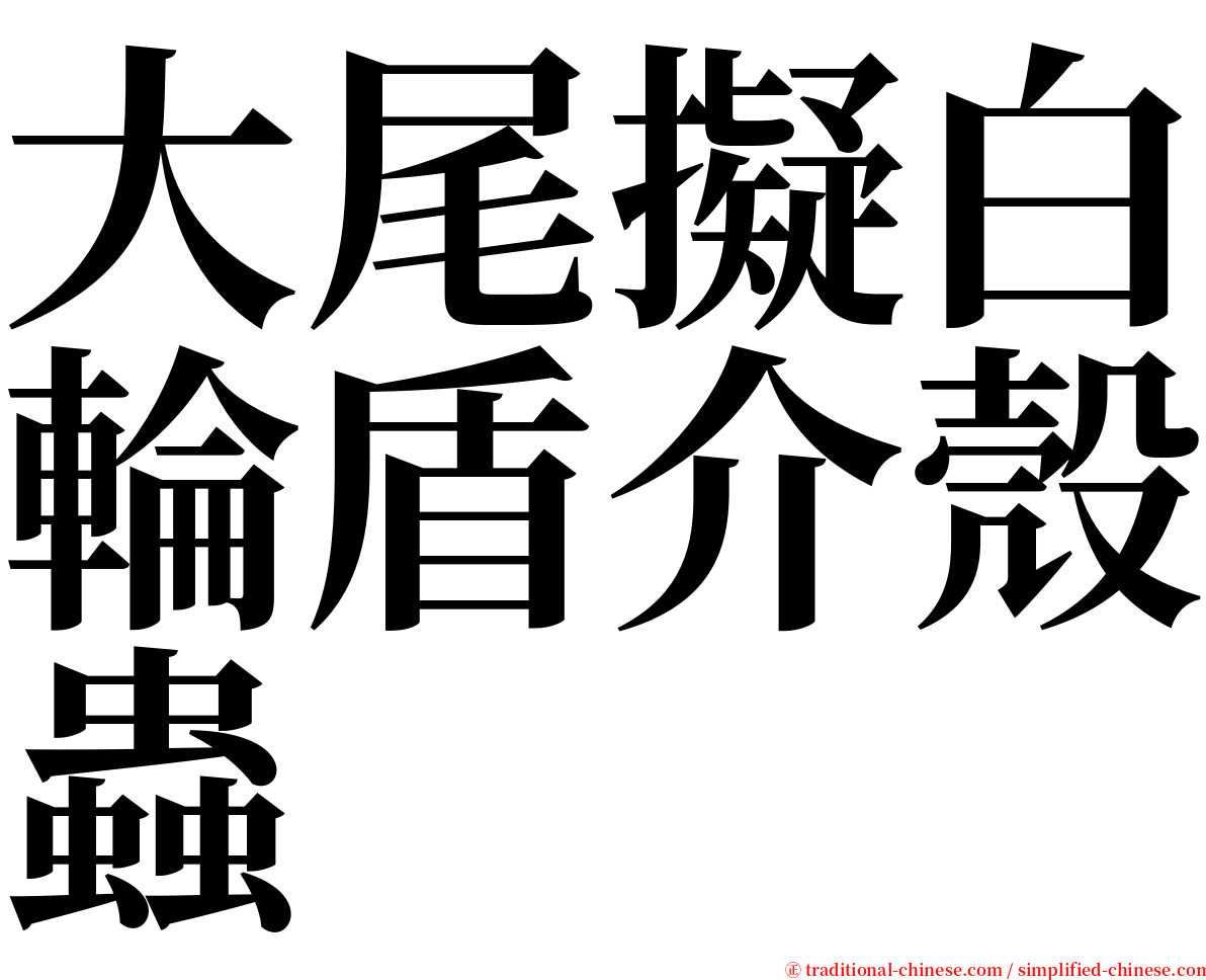 大尾擬白輪盾介殼蟲 serif font