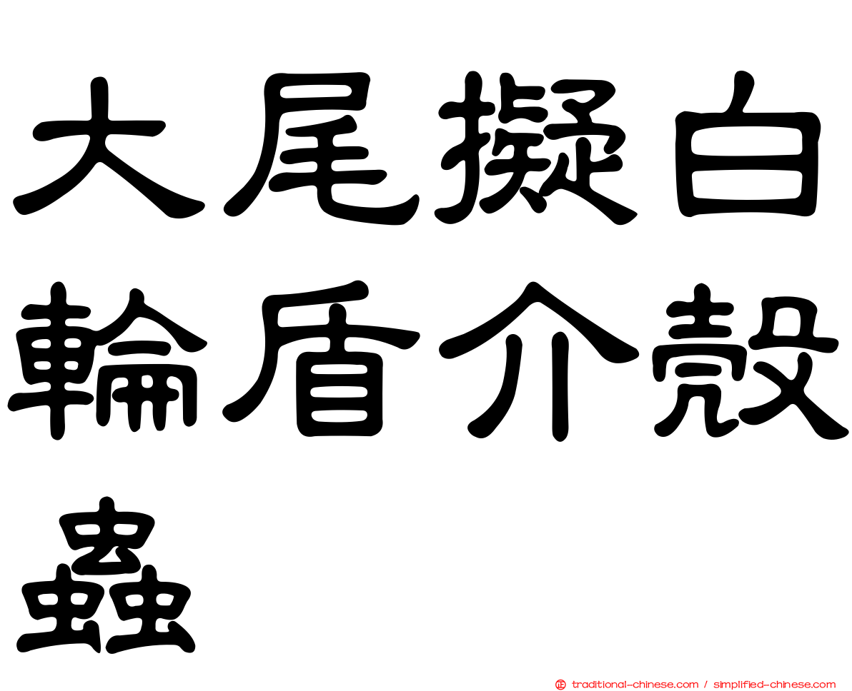 大尾擬白輪盾介殼蟲