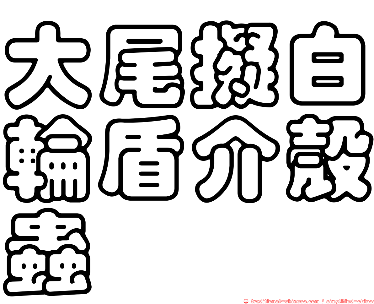 大尾擬白輪盾介殼蟲