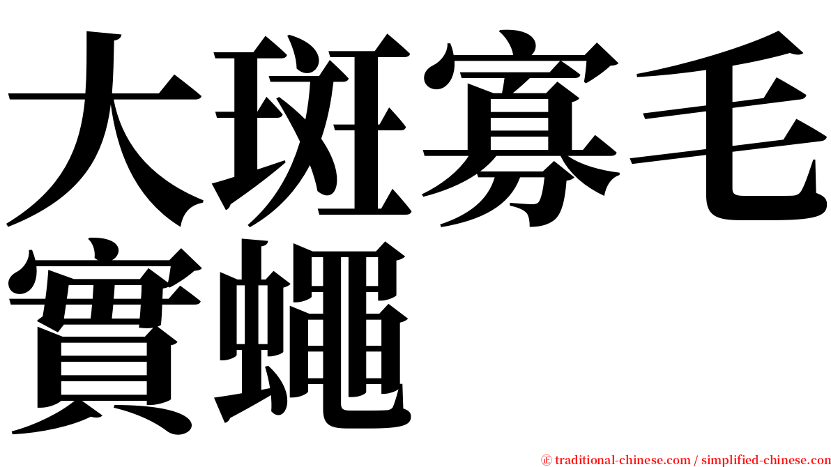 大斑寡毛實蠅 serif font