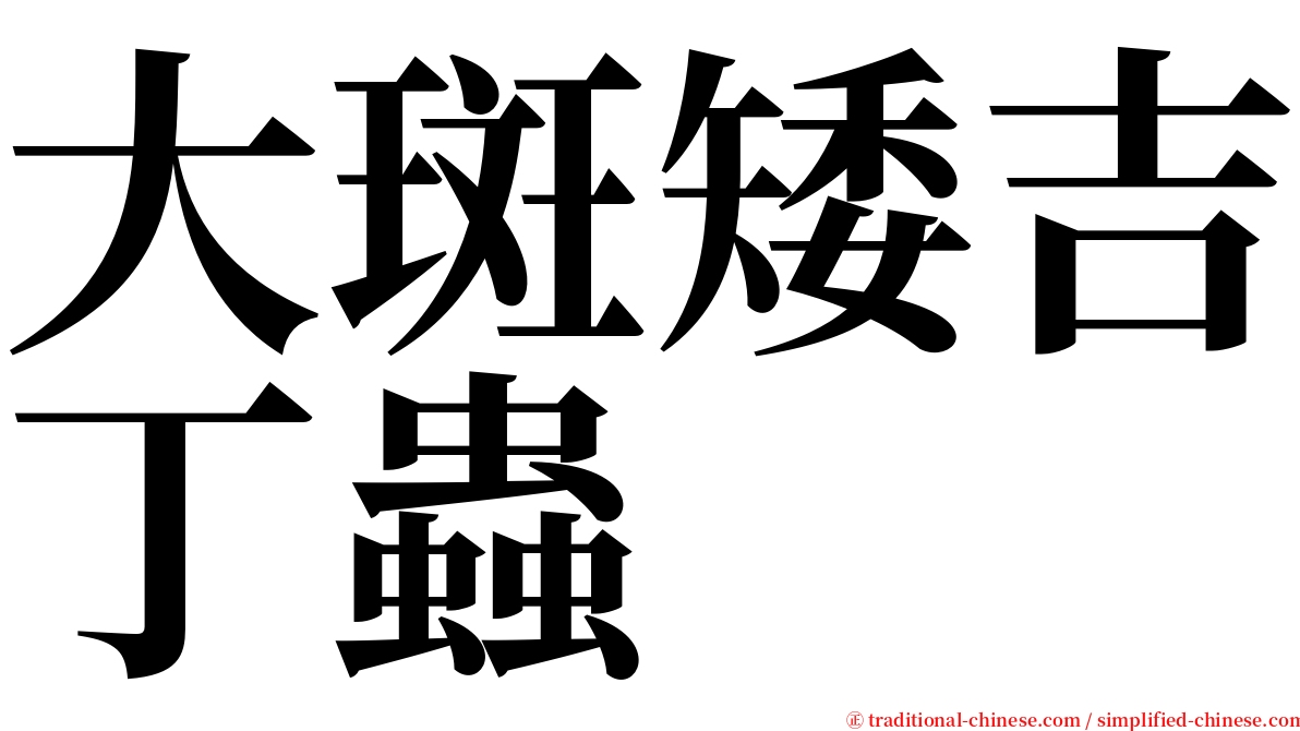 大斑矮吉丁蟲 serif font