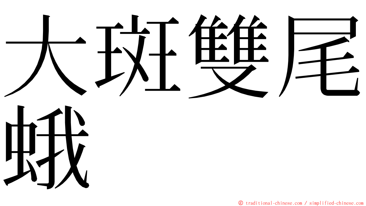 大斑雙尾蛾 ming font