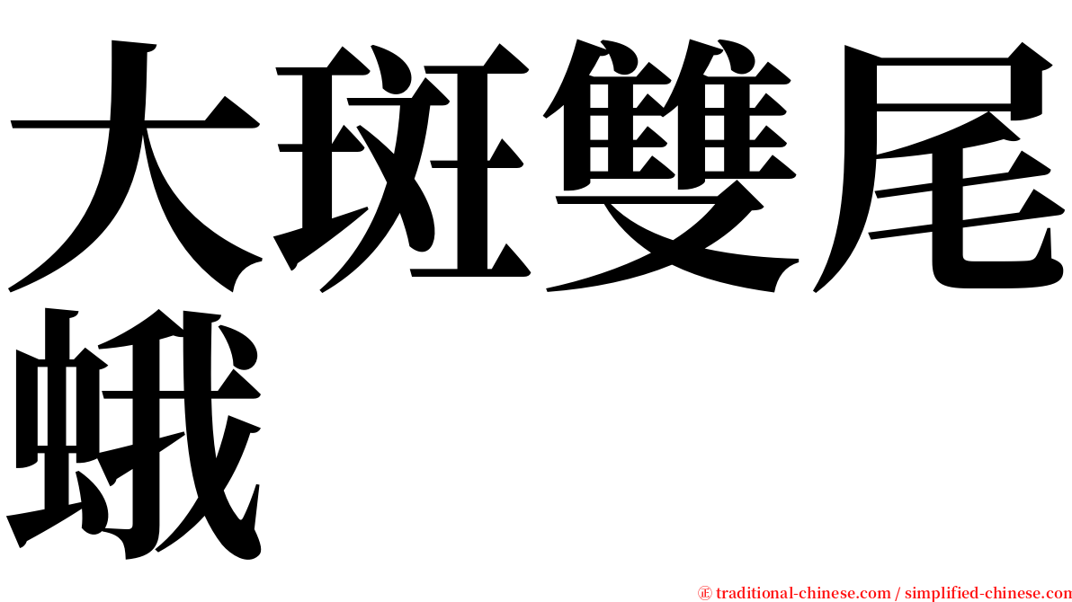 大斑雙尾蛾 serif font