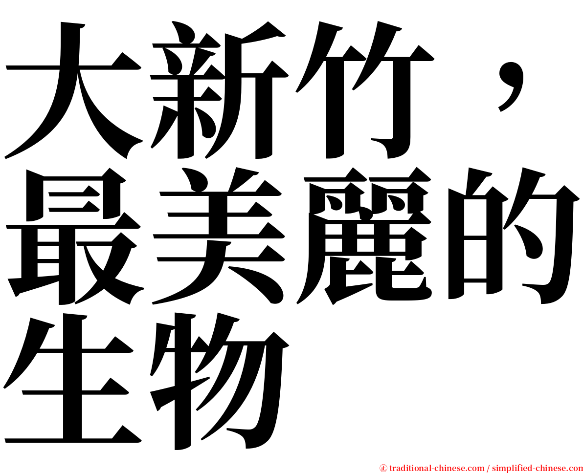 大新竹，最美麗的生物 serif font