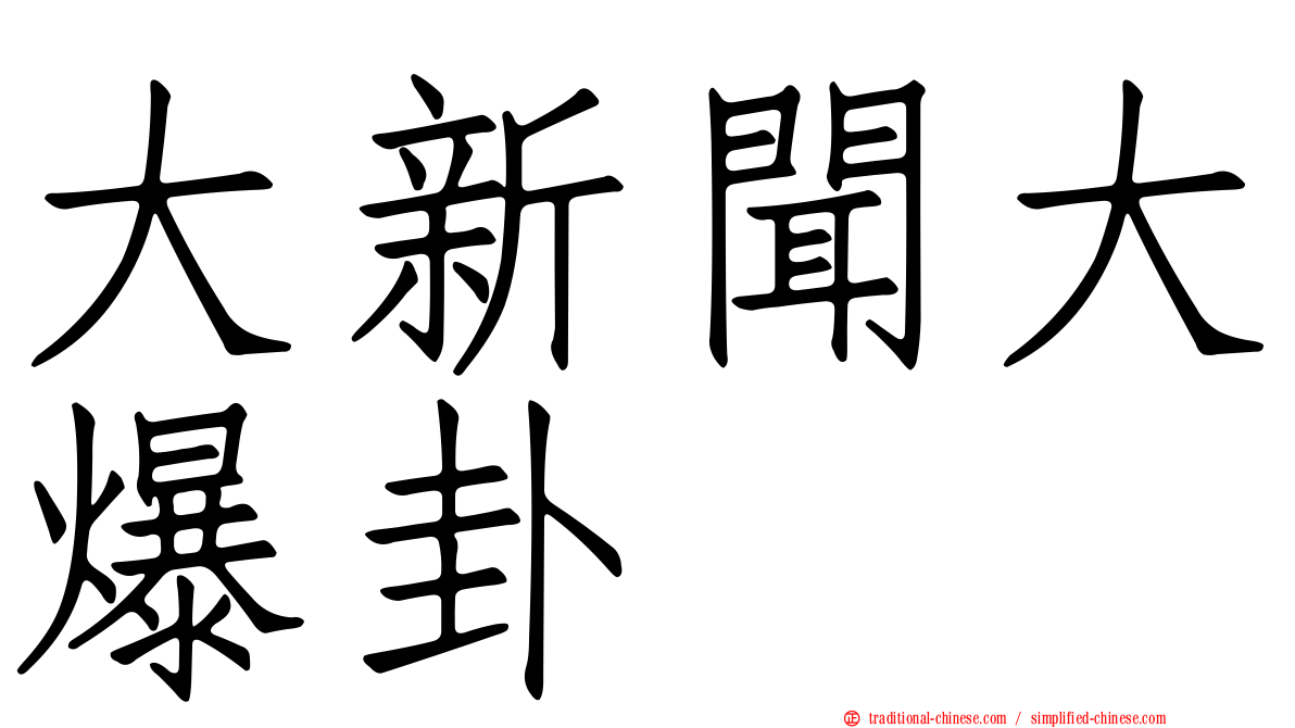 大新聞大爆卦