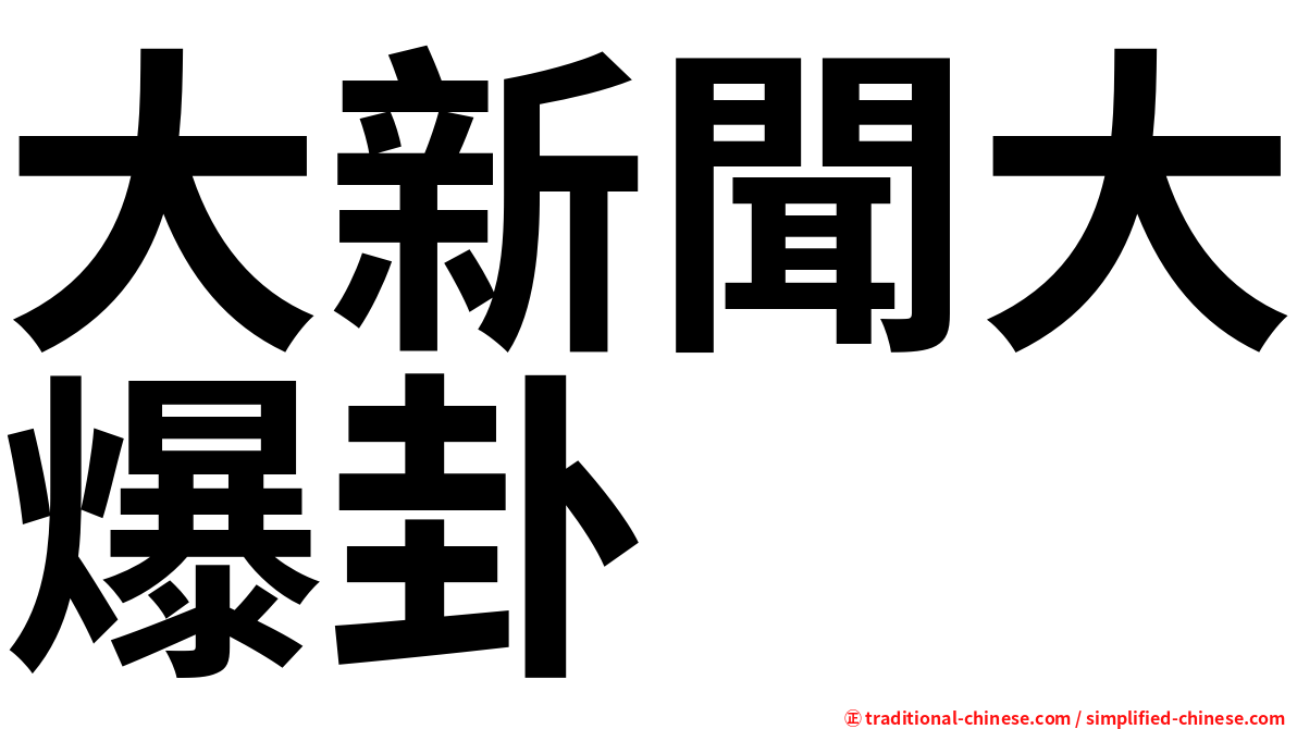 大新聞大爆卦