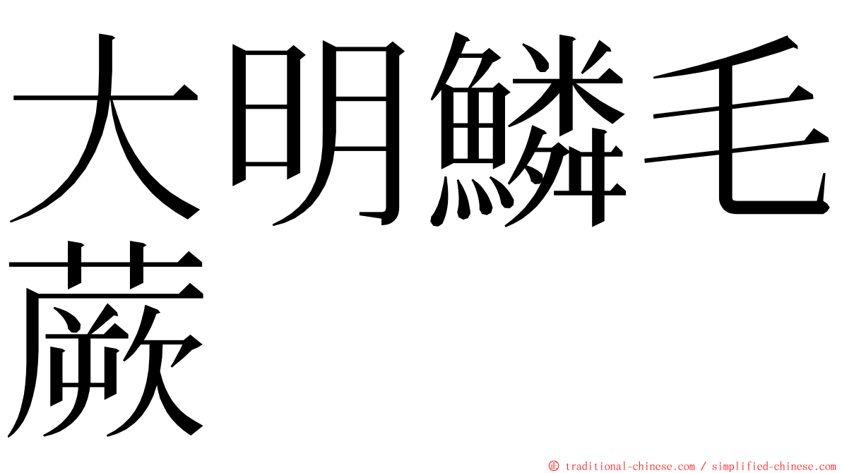 大明鱗毛蕨 ming font