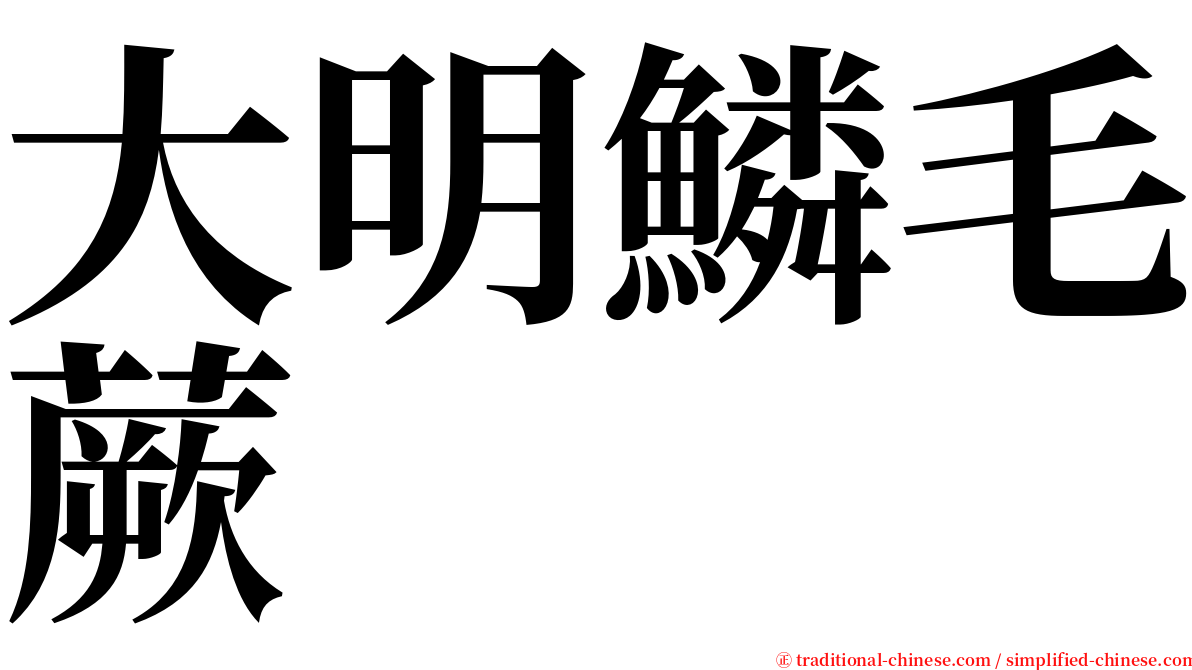 大明鱗毛蕨 serif font