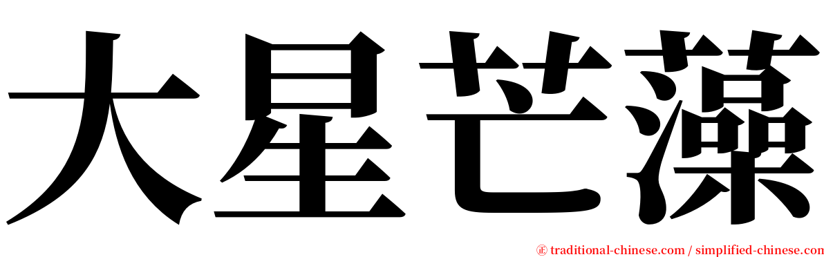 大星芒藻 serif font