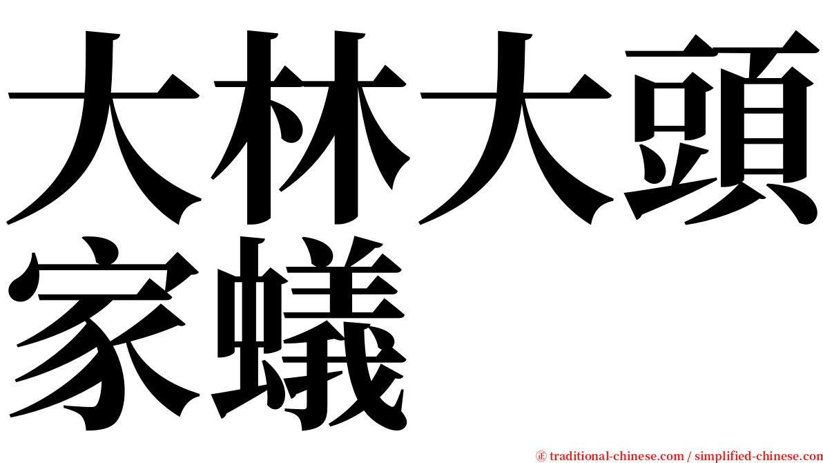 大林大頭家蟻 serif font