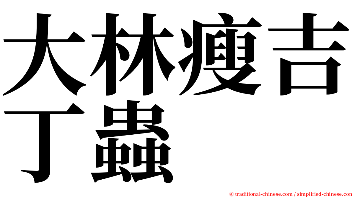 大林瘦吉丁蟲 serif font