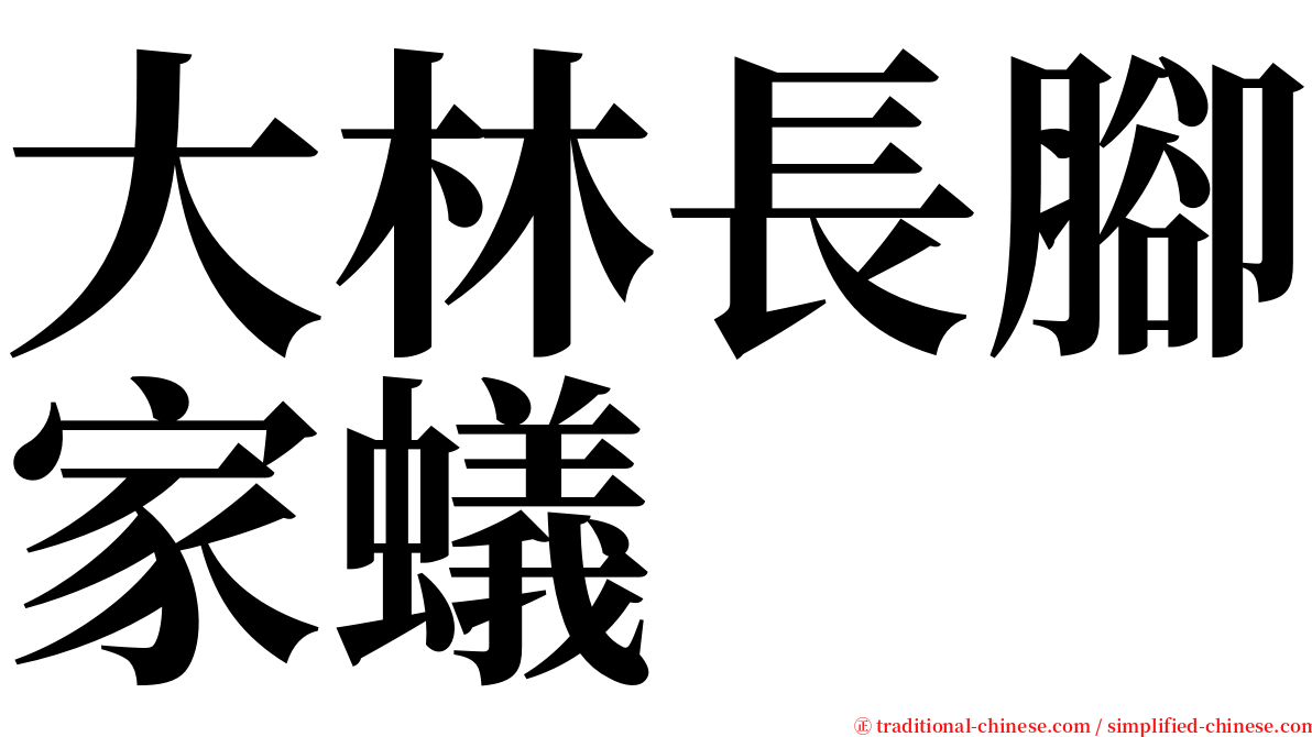 大林長腳家蟻 serif font