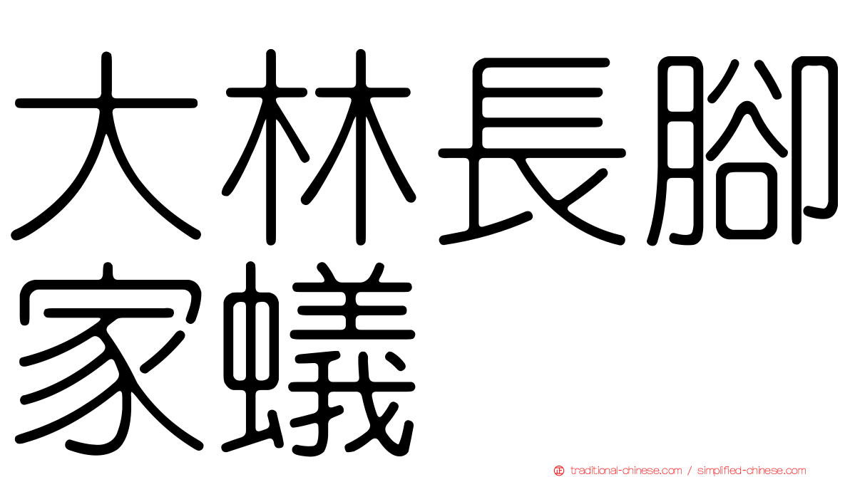 大林長腳家蟻