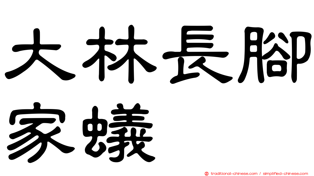 大林長腳家蟻