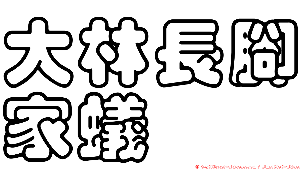 大林長腳家蟻