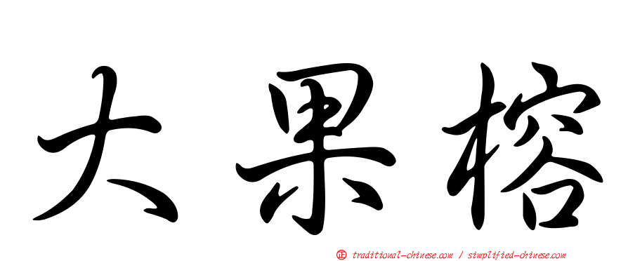 大果榕