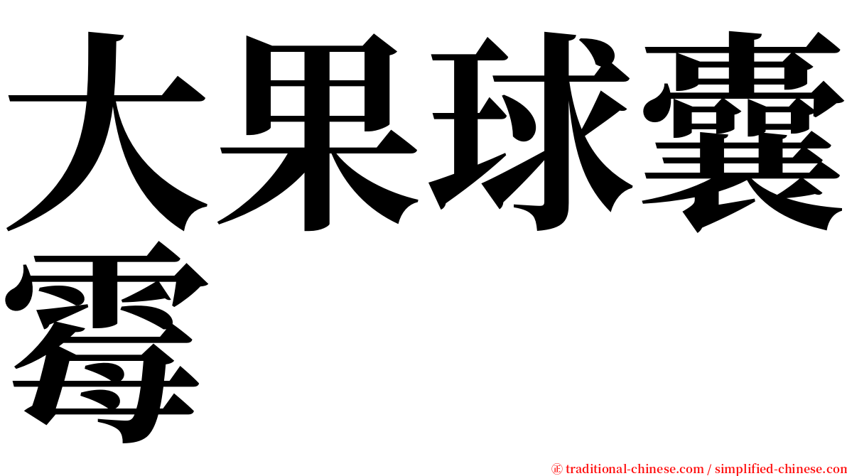 大果球囊霉 serif font