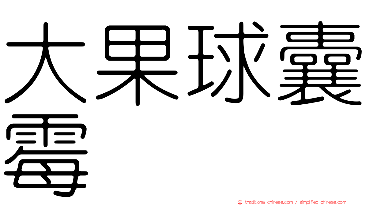 大果球囊霉