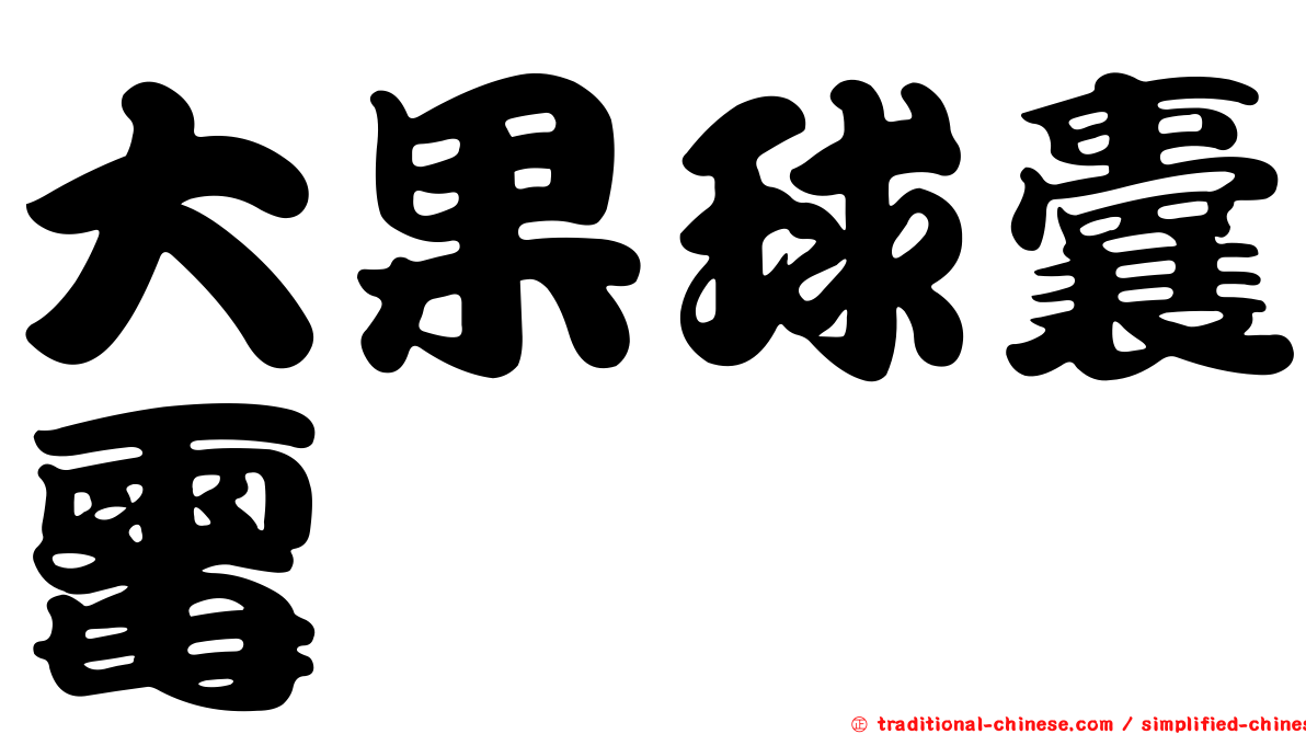 大果球囊霉
