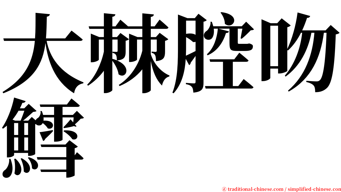 大棘腔吻鱈 serif font