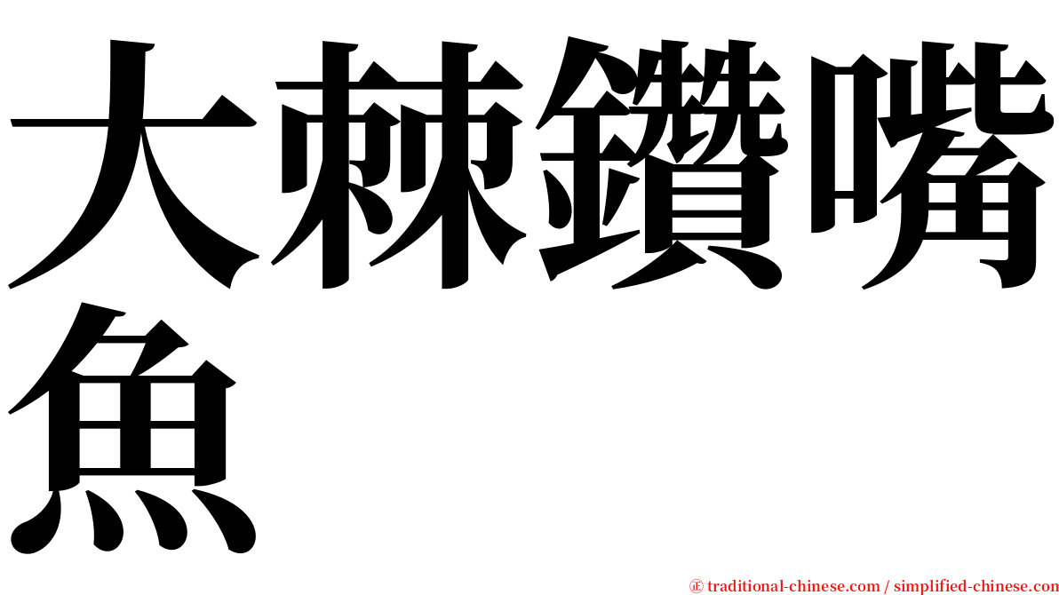 大棘鑽嘴魚 serif font