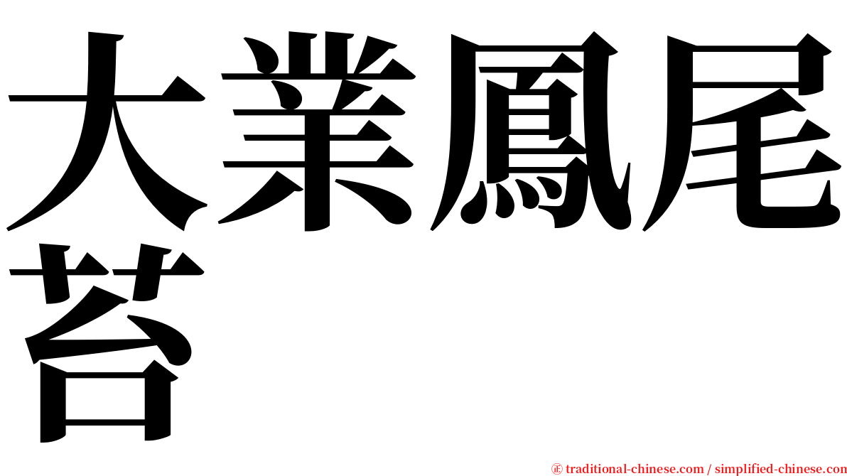 大業鳳尾苔 serif font