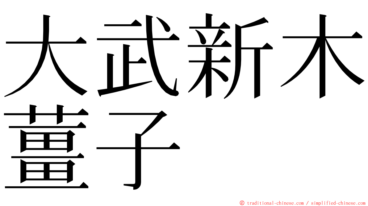 大武新木薑子 ming font