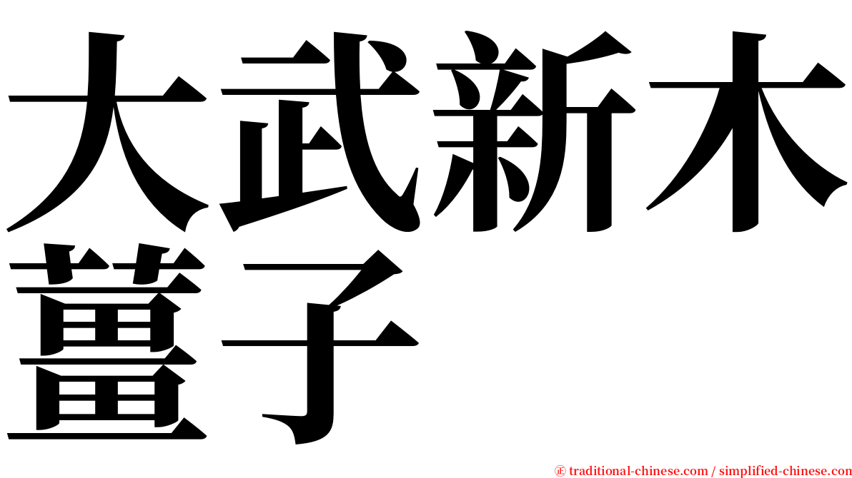 大武新木薑子 serif font