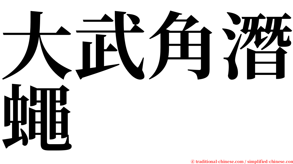 大武角潛蠅 serif font