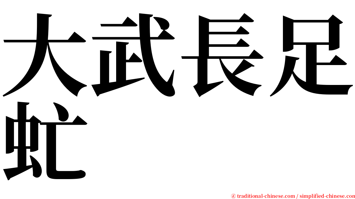 大武長足虻 serif font