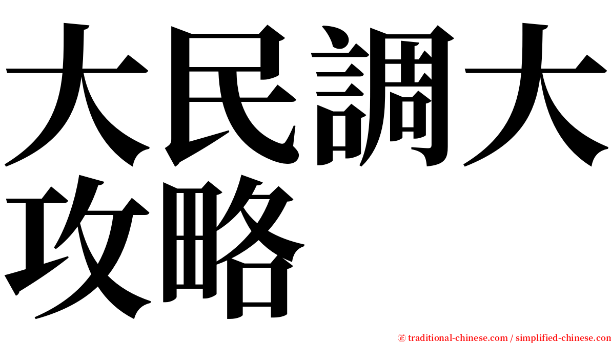 大民調大攻略 serif font