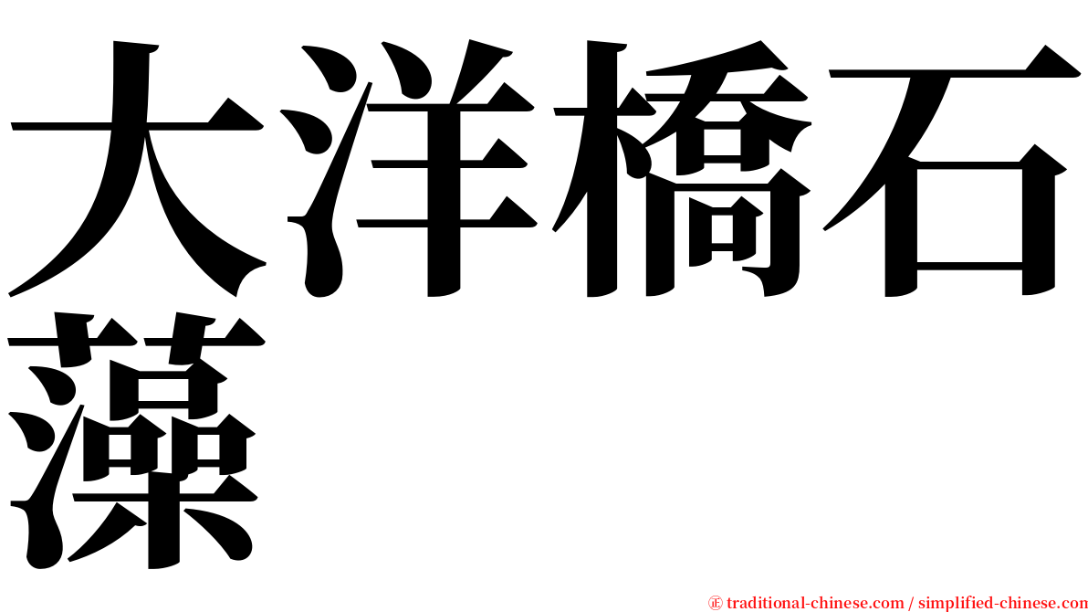 大洋橋石藻 serif font