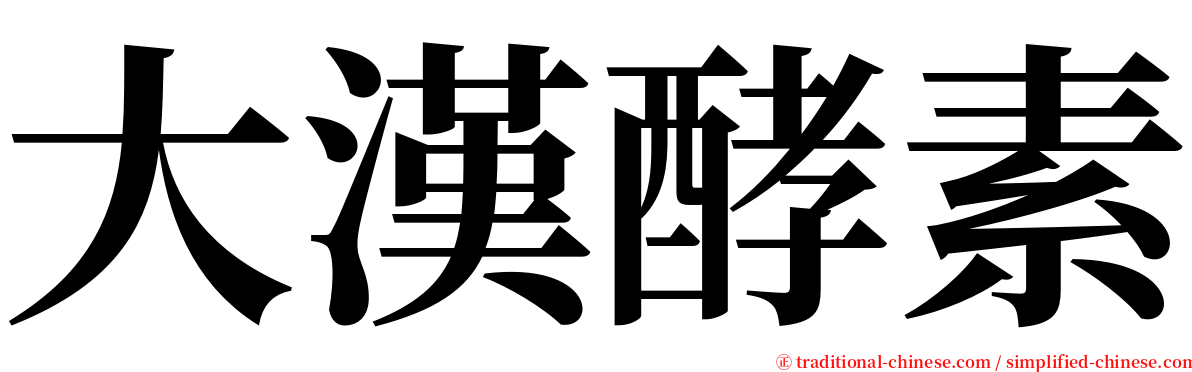 大漢酵素 serif font