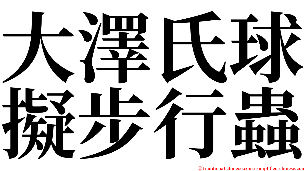 大澤氏球擬步行蟲 serif font