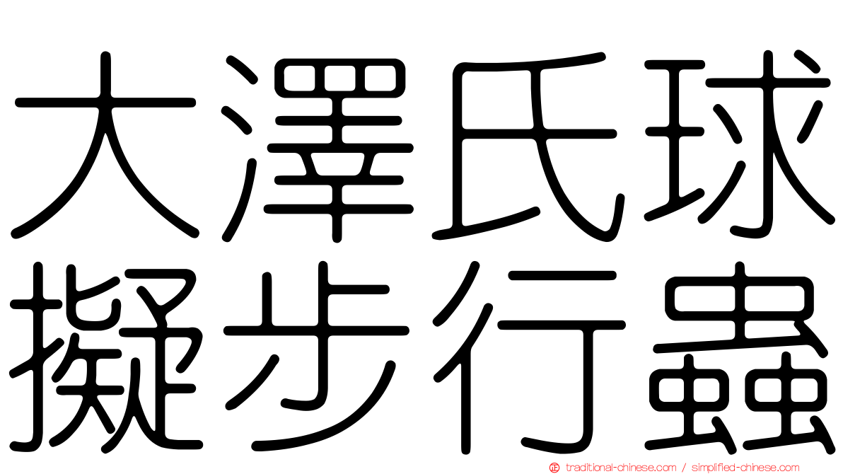 大澤氏球擬步行蟲