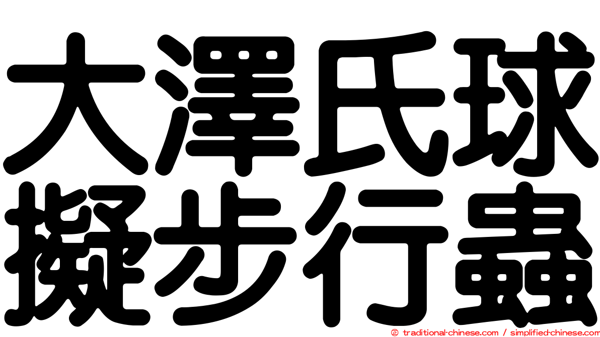 大澤氏球擬步行蟲