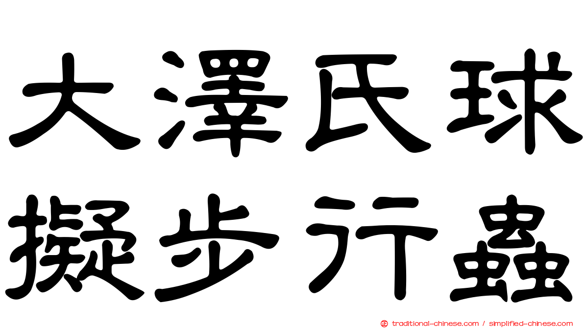 大澤氏球擬步行蟲