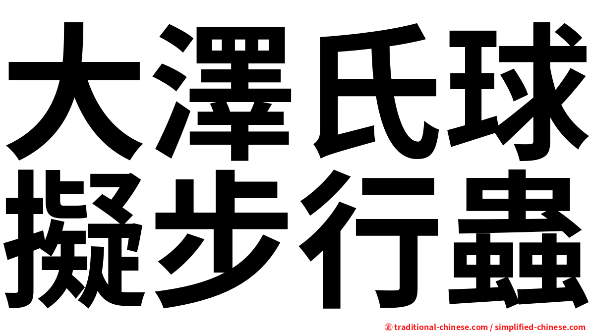 大澤氏球擬步行蟲