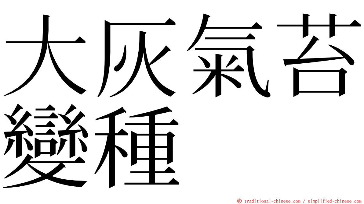 大灰氣苔變種 ming font