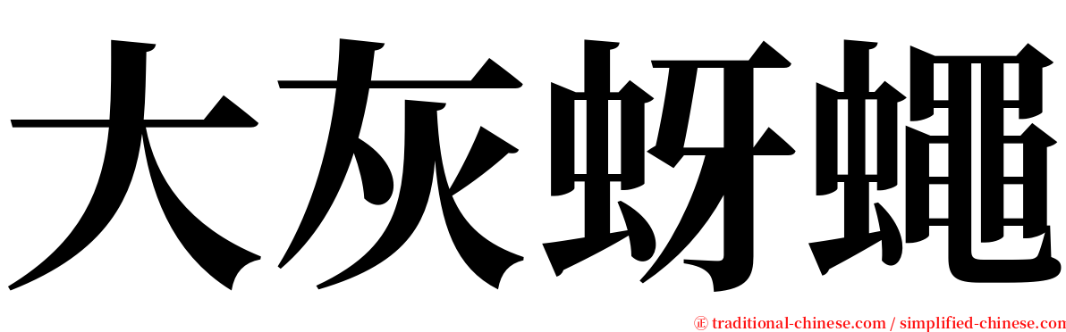 大灰蚜蠅 serif font