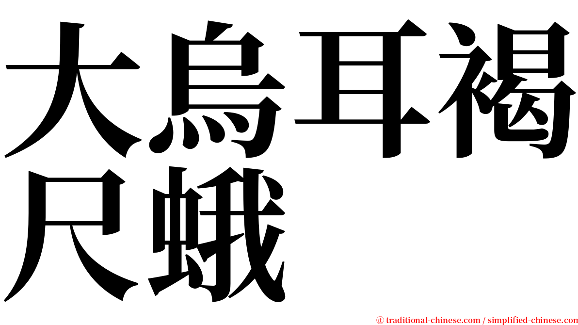 大烏耳褐尺蛾 serif font