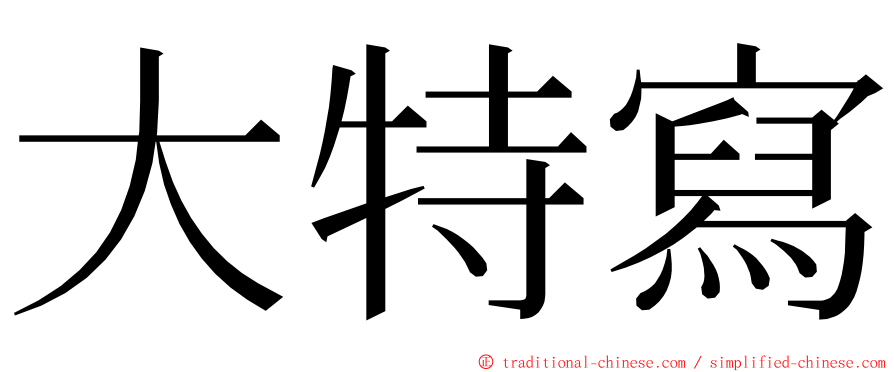 大特寫 ming font