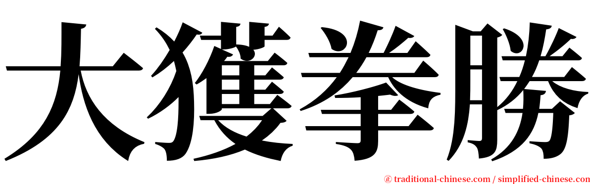 大獲拳勝 serif font