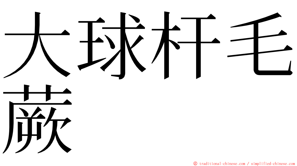 大球杆毛蕨 ming font