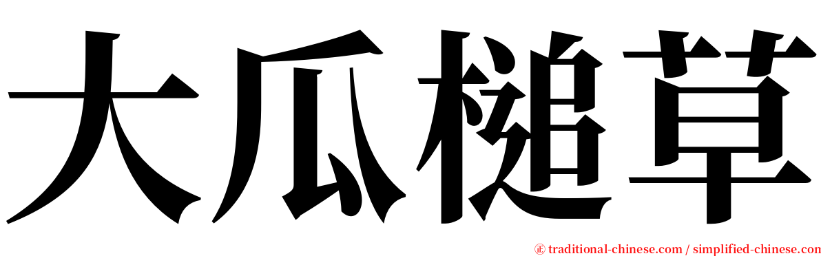 大瓜槌草 serif font