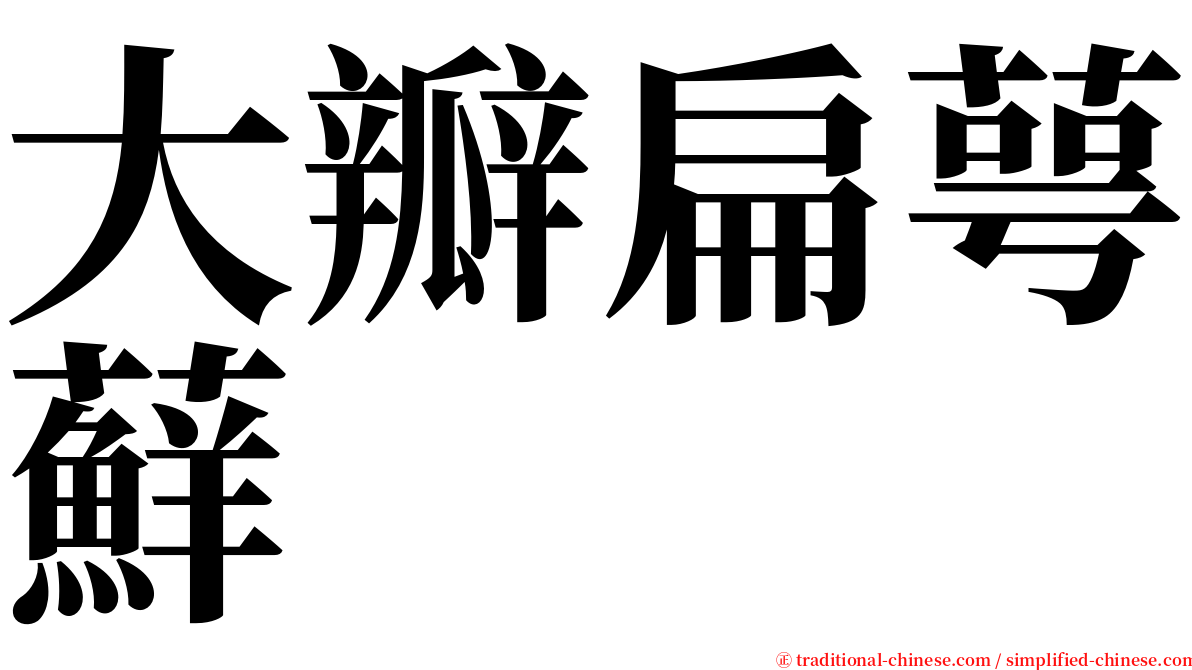 大瓣扁萼蘚 serif font