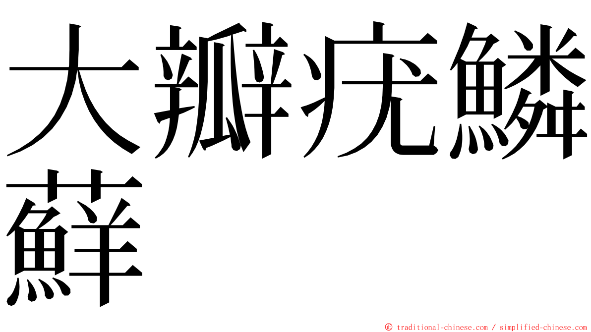 大瓣疣鱗蘚 ming font